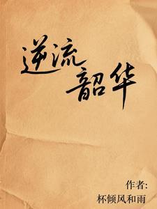 韶华流光