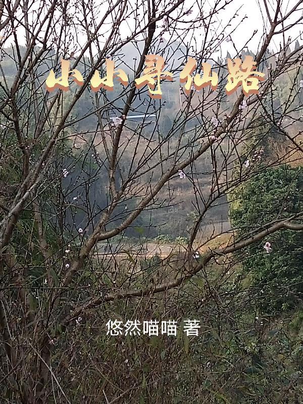 仙路漫漫
