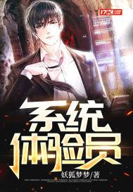 系统体验报告