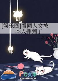 娱乐圈韩娱同人文