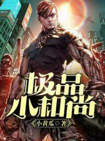 极品小和尚智通 在线阅读