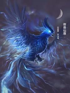 一本有御兽仙君的