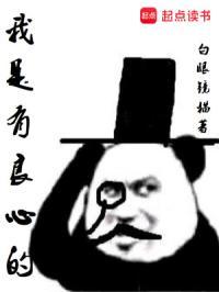 我是良心的吗