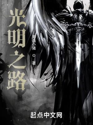 光明之路起点中文网