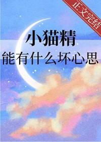 小猫精灵去哪里了