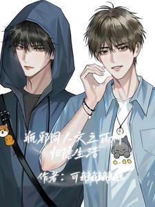 瓶邪雨村文推荐