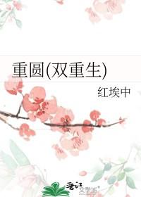 双重生bg文