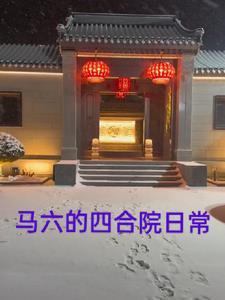 马六的车怎么样