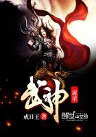 流星武神等级