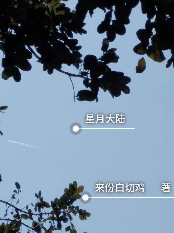星月大陆txt