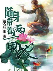 随身带着两亩地五行针