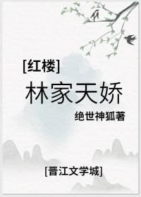 红楼之林家媳妇