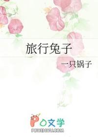 综穿旅行者