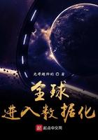 全球进入数据化境界划分