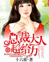 总裁大人宠妻请节制