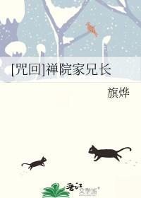 禅院家的术