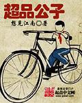 超级公子1