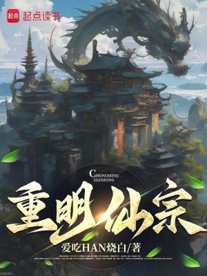重明仙宗怎么起点上没了