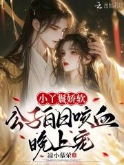 丫鬟公主