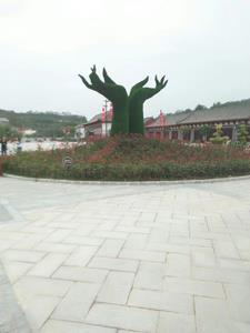 中年才成功