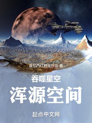 吞噬星空中的混沌城主