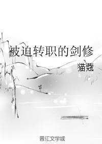 被迫转职的剑修乐文