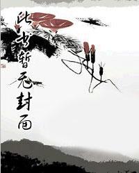 陈宁宋娉婷全集