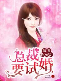 娇妻太火辣总裁老公请住手
