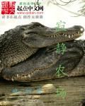 寂静村什么时候出来的