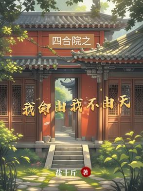 四合院我成了何雨住