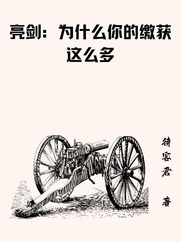 亮剑为什么你的缴获这么多无弹窗