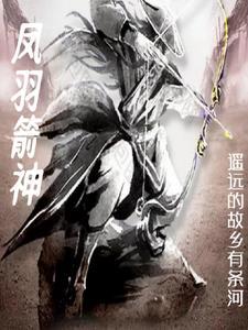箭羽风息原版海报
