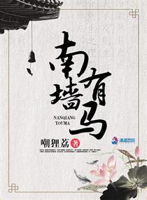 南墙指的是什么