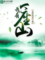 我有一座山寨程大雷