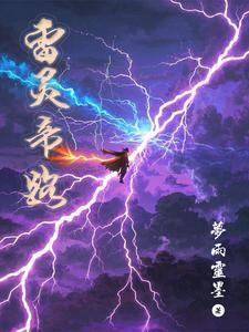 雷灵抬着的是谁