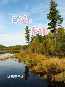 日记系统类
