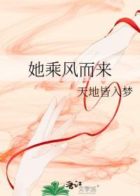你乘风而来歌词