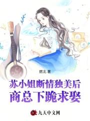 苏小姐是什么意思