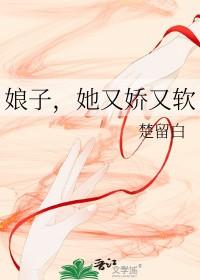 娘子她又娇又软gl