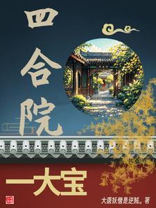 四合院大舅哥