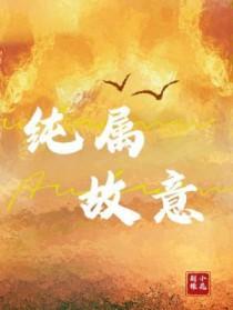 纯属是意外