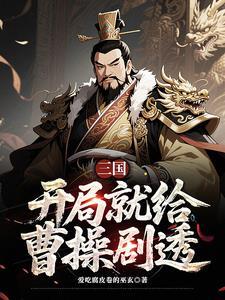 三国曹营谋圣的我