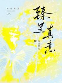 2021臻心之礼怎么样