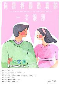 你是我最愚蠢的一次浪漫是民谣吗