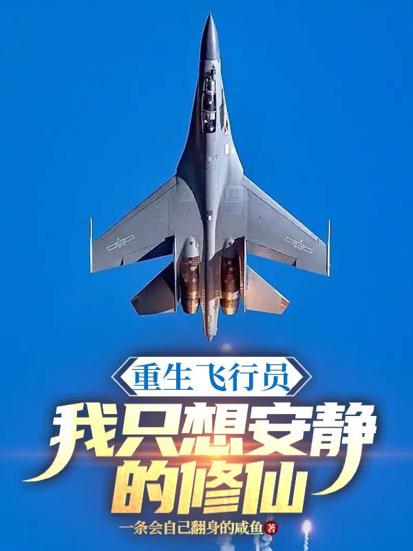 重生飞行员军人的