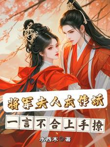 将军夫人又