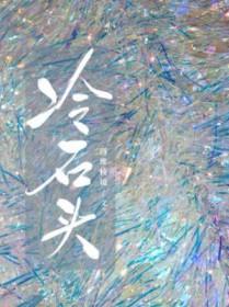 冷石头讲的什么