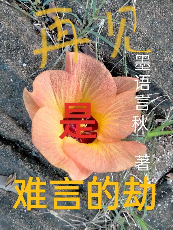 再见容易再见难