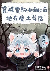 雪豹幼崽视频