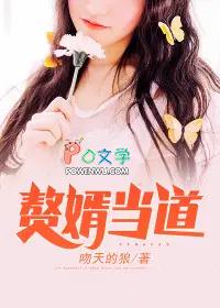 入赘女婿?